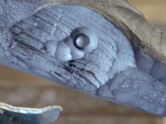Kovaný kačer, detail oka